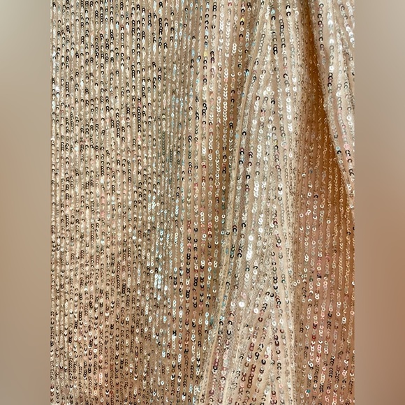 LOFT Sequin Skirt - Champagne Color Skirt with Silver Sequins  SIZE 14   NWT! - Picture 4 of 14